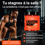 Creatine Gummies